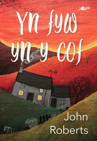 Cyhoeddi nofel ddaeth yn agos at gipio Gwobr Goffa Daniel Owen 2021